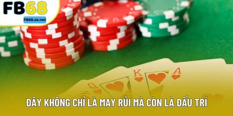 Đây không chỉ là may rủi mà còn là đấu trí Đây không chỉ là may rủi mà còn là đấu trí